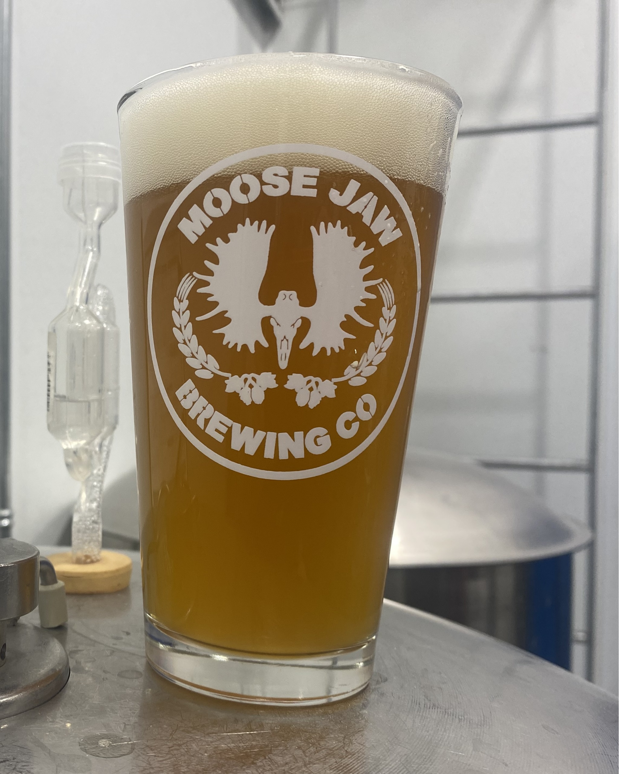 Spring Creek IPA